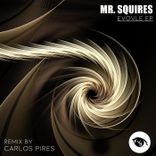 Artwork für "Evolve"