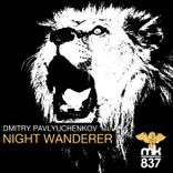 Artwork for "Night Wanderer"