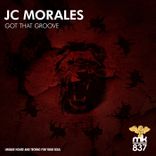 Artwork voor "Got That Groove"