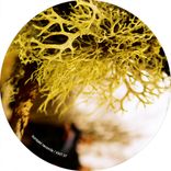 Artwork for "Subduction & Shadows"