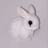 Portada para "Massive Domination"