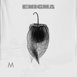Artwork for "Enigma"