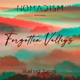 Artwork voor "Forgotten Valleys"