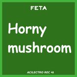 Artwork for "Horny mushroom"