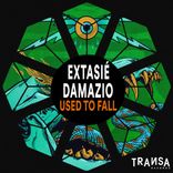 Portada para "Used To Fall"