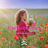 Artwork voor "Flammable Slice"