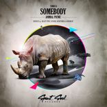 Portada para "Somebody"