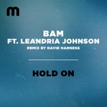 Artwork voor "Hold On"