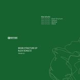 Artwork for "Brain Structure EP"