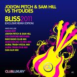 Artwork for "Bliss 2011"