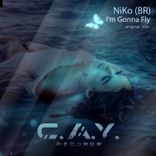 Portada para "I'm Gonna Fly"