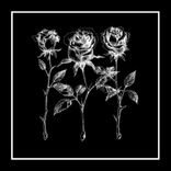 Portada para "Hurting Me"