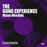 Artwork for "The Gong Experience"