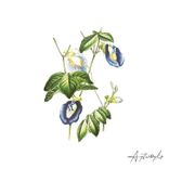 Greetings From Beyond