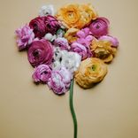 Artwork für "What If (I Told You I Like You)"