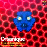Artwork for "Ortanique"