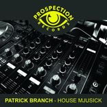 Artwork for "House Mjusick"