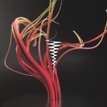 Artwork for "Hermaphrodite"