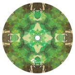 Portada para "Prophetic Dreams"