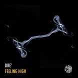 Artwork für "Feeling High"