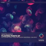 Artwork for "Floating Points"
