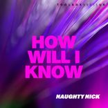 Artwork for "How Will I know"