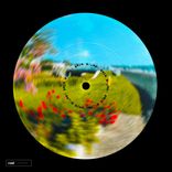 Artwork for "Nine Months"