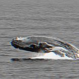 Portada para "Cosmos EP"