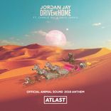 Artwork for "Drive Me Home (Official Animal Sound 2019 Anthem)"
