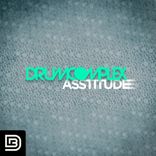 Artwork für "Asstitude"