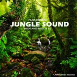 Artwork for "Jungle Sound (Birds and Insects FX)"
