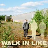 Artwork for "Walk In Like"