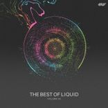 Artwork voor "The Best of Liquid, Vol.02"