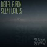 Artwork for "Silent Echoes"
