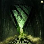 Portada para "The Wizard"