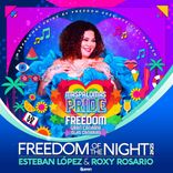 Artwork for "Freedom of the Night 2k25"