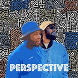 Artwork for "Afro House Modjadeep.SA Perspective"