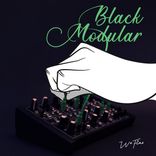 Artwork voor "Black Modular"