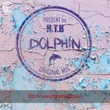 Artwork voor "DolPh!N"