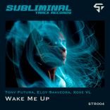 Portada para "Wake Me Up"
