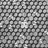 Artwork for "Domino"