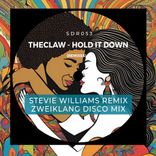 Artwork for "Hold It Down (Remixes)"
