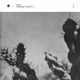 Portada para "Turquoise Tundra pt.I"