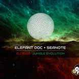 Artwork for "ID Crisis"