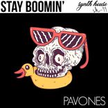Artwork für "Stay Boomin"