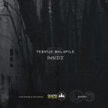 Artwork for "Inside"