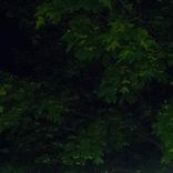 Artwork for "OTR2019 Disambiguation"