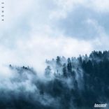 Portada para "Ashes"