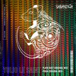 Artwork voor "Playa Dust"