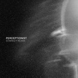 Artwork for "Perceptionist (Starkey Remix)"